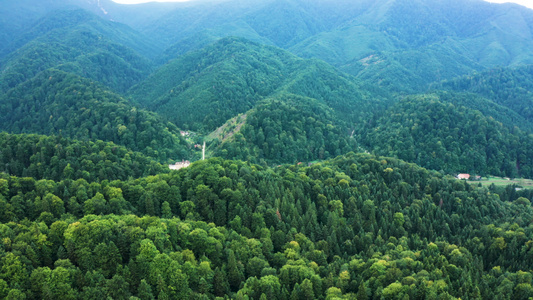 种植绿林树的空中无人驾驶飞机景观片段视频