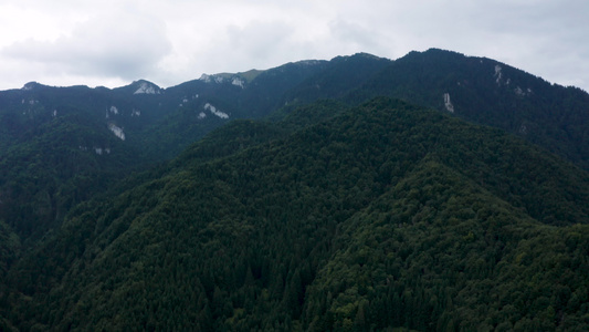 高山绿林的空中顶层风景视频