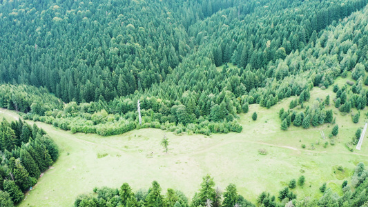 利用绿色森林飞越山区的无人驾驶飞机飞行视频