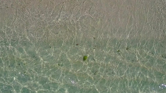 清澈的海洋和白色沙滩背景下放松泻湖海滩野生动物的无人机视频
