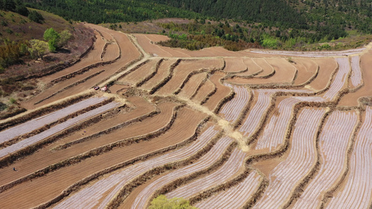 航拍乡村梯田  农村土地视频