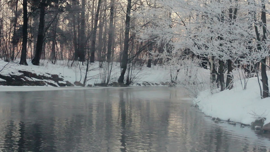 冬季风景河和岸上布满了积雪视频