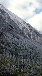 四川理县旅游景区毕棚沟雪景航拍视频原始森林视频