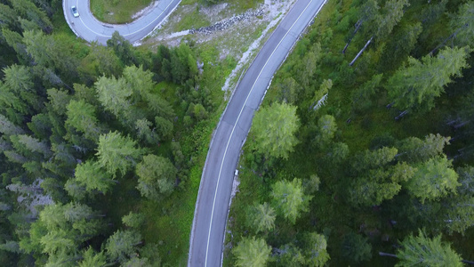 绿洞林中摇摇欲坠的道路视频