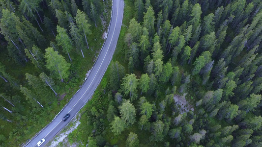 绿洞林中摇摇欲坠的道路视频