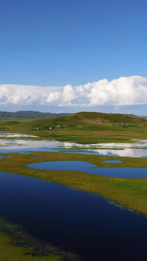 航拍自然生态湿地景观视频自然风光54秒视频