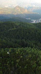 航拍5A安徽天柱山景区万亩竹林全景视频旅游目的地视频