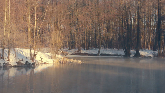 冬季森林的河流冬季森林的河流森林的米丝蒂河冬季森林的河流森林树木的冬季视频