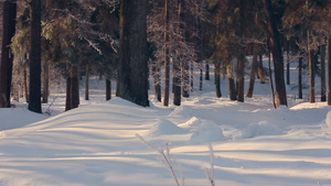 冬天被雪覆盖的公园冬季公园冬季公园雪上的阳光30秒视频