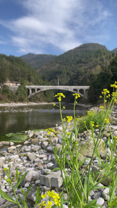 农村河流风景4K实拍视频[村里人]视频