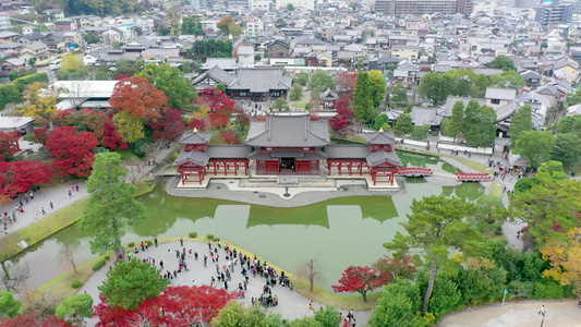 有秋叶的寺庙乌吉市京都雅潘视频