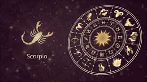 黄道菌标志天蝎座和星象轮21秒视频