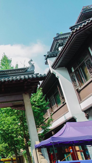 【旅游宣传片】江苏南京夫子庙合集旅游景点111秒视频