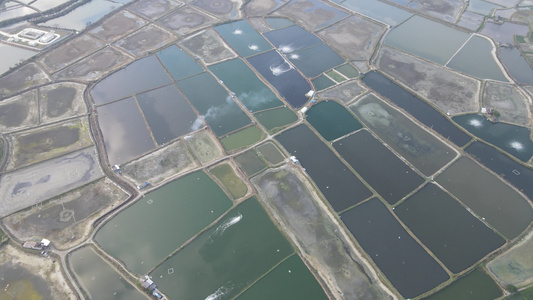 沿海养殖基地航拍视频