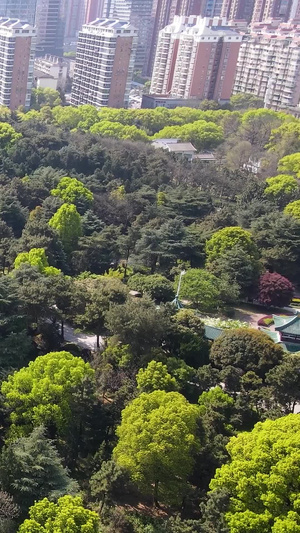 航拍湖南长沙烈士英雄纪念碑烈士陵园32秒视频