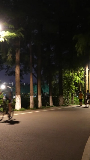 城市公园绿道上健身运动夜跑的人群素材城市素材60秒视频