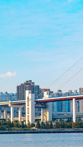 移动延时大气上海地标南浦大桥交通视频