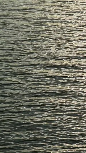夕阳下波光粼粼的水面水资源14秒视频