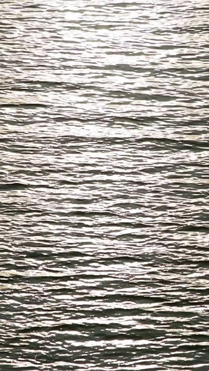 夕阳下波光粼粼的水面生命之源14秒视频