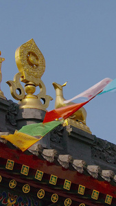 藏族寺庙藏传佛教视频