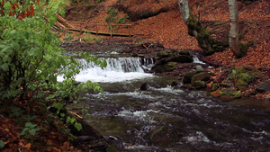 公园小瀑布山地公园有连级联流的河19秒视频