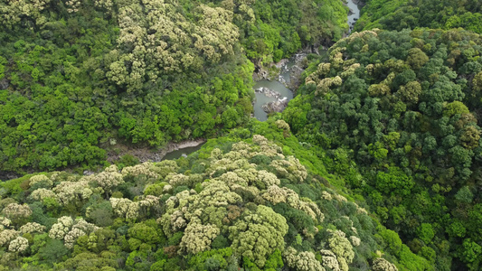 大山森林美景航拍视频