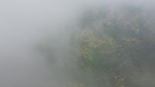 大山森林美景航拍视频