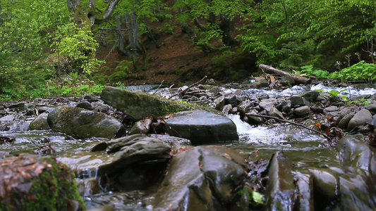 快速山河中部的巨石野生森林河背景[人工繁殖]视频