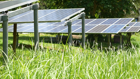 阳光明媚的日子里草地上的太阳能电池板草坪上的一排替代视频