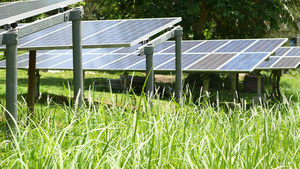 阳光明媚的日子里草地上的太阳能电池板草坪上的一排替代15秒视频