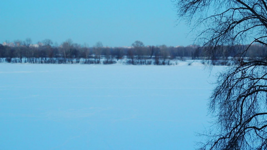 冬季自然的全景冬季公园的雪景视频