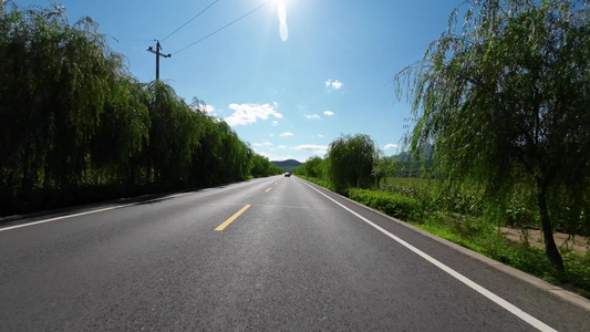 开车自驾在森林   森林公路旅行视频