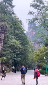 湖南5A级旅游景区张家界国家森林公园素材5A级景区视频