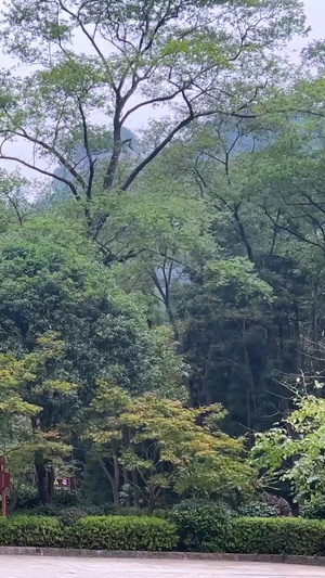 湖南5A级旅游景区张家界国家森林公园素材游客素材60秒视频