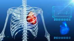 4K三维心脏医学背景30秒视频