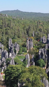 云南石林景区航拍视频云南旅游视频