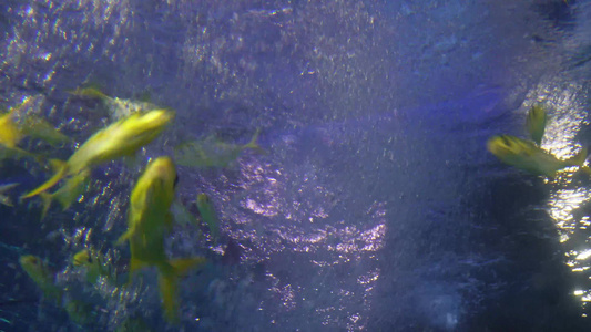 海底气泡水下世界海洋神秘视频
