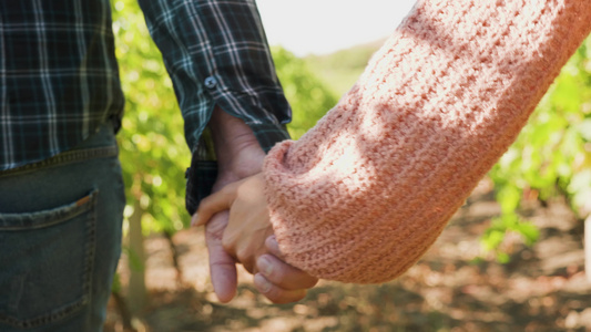 近距离拍摄一对夫妇在葡萄园握手视频