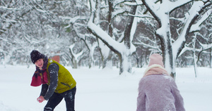 快乐的年轻夫妇在冬季公园玩得开心39秒视频