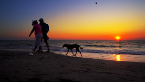 海滩边日落时的夫妇和狗15秒视频