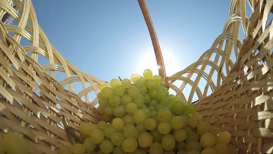 女园长白葡萄在阳光中照耀在篮子里视频