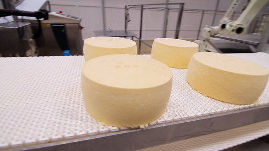 奶酪的传送生产线视频
