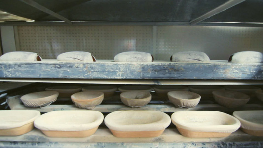 食品加工厂的面包的生产过程视频