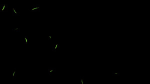 竹叶粒子漂浮下落35秒视频