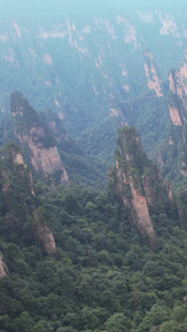 航拍湖南5A级旅游张家界景区连绵山峰自然风光素材旅游素材视频