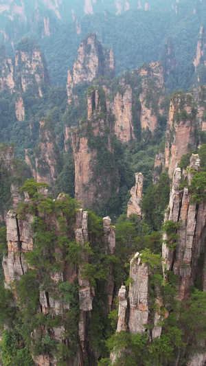 航拍湖南5A级旅游张家界景区连绵山峰自然风光素材5A级景区58秒视频