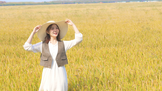 美女开心走在金黄色的稻田里视频