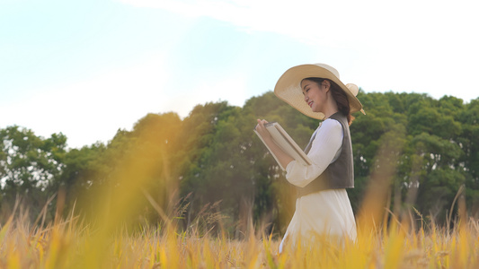 美女在金黄色稻田里写生画画视频