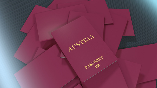 制作Austria旅行护照的艺术家视频