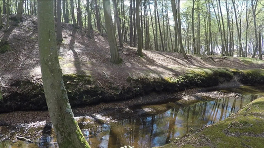 靠近波兰湾海滨岸边海岸的archzechowa河视频